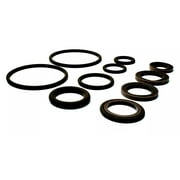 مجموعة إصلاح ختم VANOS O-RING بمحرك S54، مصنوعة من VITON & TEFLON، متوافقة مع BMW Z3 E36 M ROADSTER & M COUPE 1998-2003 S54 6 أسطوانات، الجزء # LRNJBMWS54