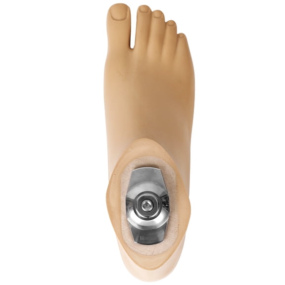 SACH Prosthetic Foot with Split Toe – Beige, Sizes 20–30 cm, M10 Thread