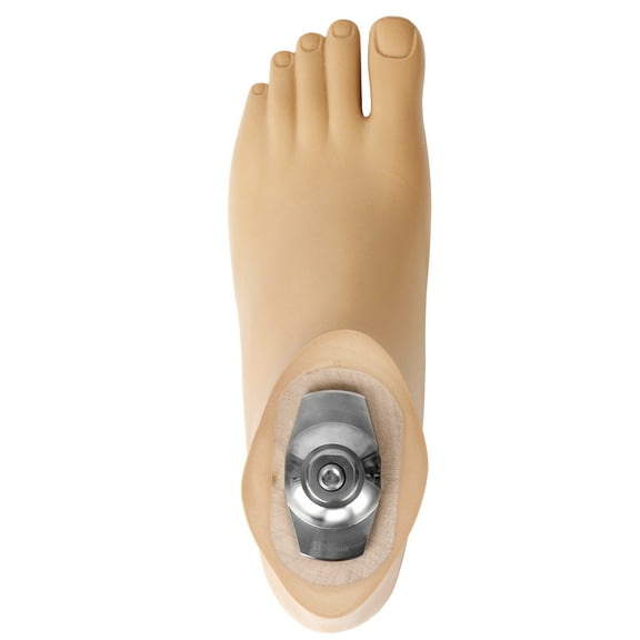 SACH Prosthetic Foot with Split Toe – Beige, Sizes 20–30 cm, M10 Thread