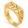 SADELU Men's Crack Pattern Rectangular Signet Ring, Stainless Steel ...