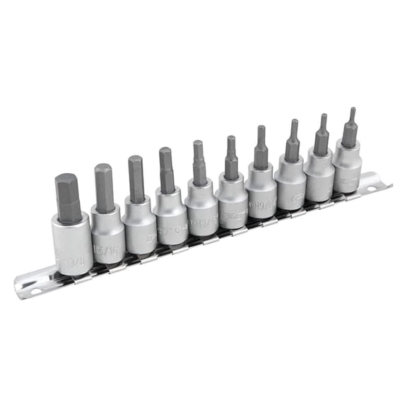 SAE Hex Bit Socket Set 10-Piece - 3/32 to 3/8 Inch - Vanadium Steel - Heat Treated - with Storage Rail - Mechanic Tools for Automotive Repair