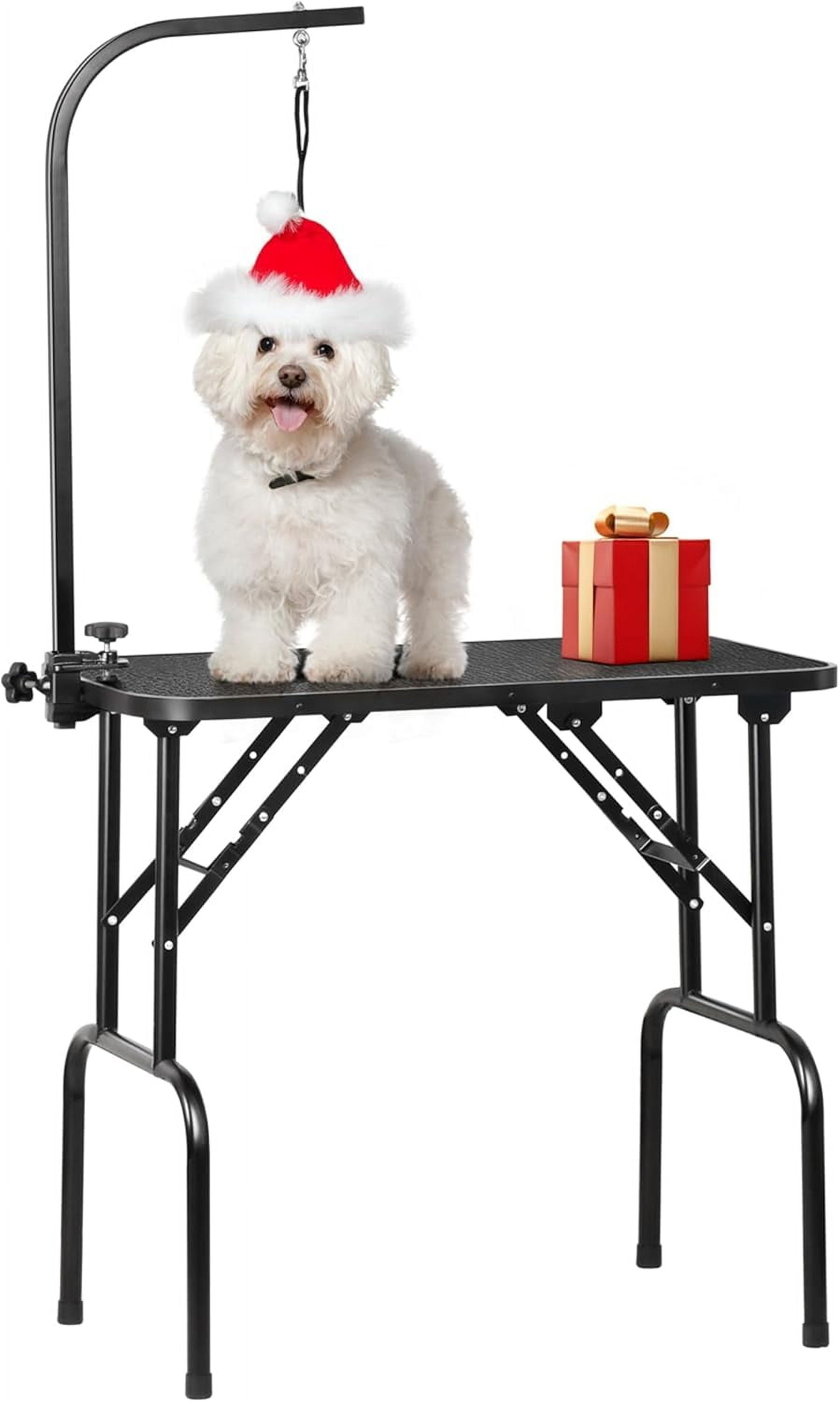 Housecall - The Grooming Angels