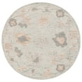 thumbnail image 1 of SAFAVIEH Abstract Lysette Floral Area Rug, Beige/Grey, 6' x 6' Round, 1 of 7