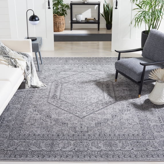 Safavieh Adirondack Xavier Oriental Area Rug, Light Gray/Dark Gray, 9' x 12'