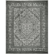 SAFAVIEH Adirondack Xavier Oriental Area Rug, Silver/Black, 8' x 10'