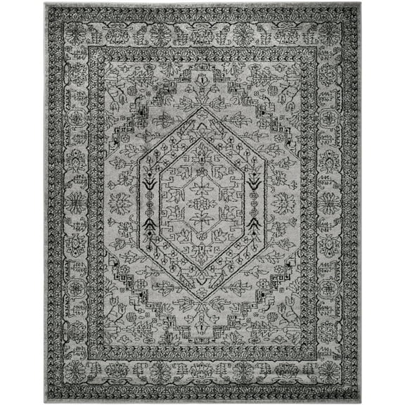 SAFAVIEH Adirondack Xavier Oriental Area Rug, Silver/Black, 8' x 10'