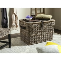 SAFAVIEH Amancio Wicker Trunk Grey