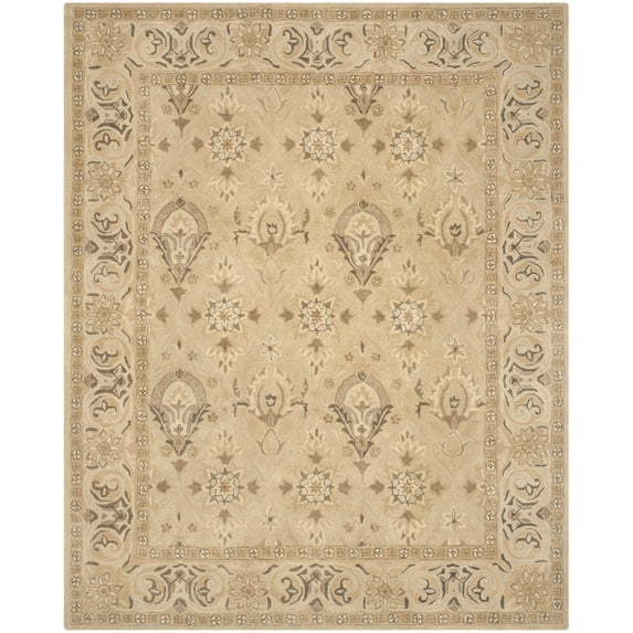 SAFAVIEH Anatolia AN587A Handmade Beige / Beige Rug