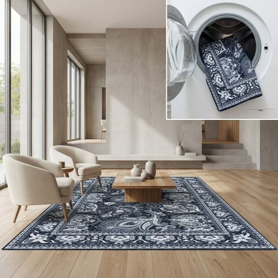 SAFAVIEH Arizona Amadine Paisley Machine Washable Area Rug, Black/Grey, 3' x 5'