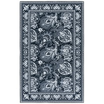 SAFAVIEH Arizona Amadine Paisley Machine Washable Area Rug, Black/Grey, 8' x 10'