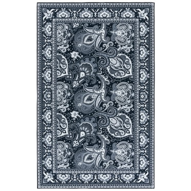 SAFAVIEH Arizona Amadine Paisley Machine Washable Area Rug, Black/Grey, 8' x 10'