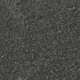 thumbnail image 1 of SAFAVIEH Arizona Cady Solid Shag Area Rug, Dark Grey, 4' x 6', 1 of 12