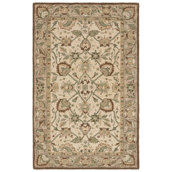 SAFAVIEH Arizona Shag Collection ASG743A Ivory/Beige Rug