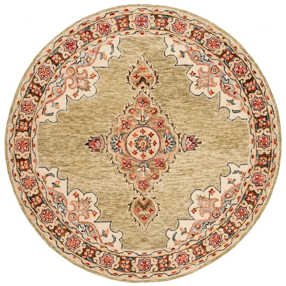 SAFAVIEH Aspen APN506A Handmade Sage / Brown Rug