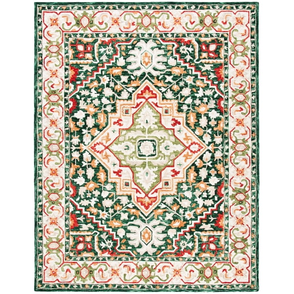 SAFAVIEH Aspen Coco Southwestern Wool Area Rug, Green/Red, 8' x 10'