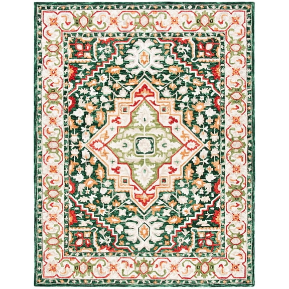SAFAVIEH Aspen Coco Southwestern Wool Area Rug, Green/Red, 8' x 10'