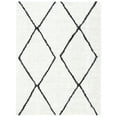 thumbnail image 1 of SAFAVIEH August Delroy Diamond Shag Area Rug, Ivory/Dark Grey, 8' x 10', 1 of 8