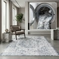 thumbnail image 1 of SAFAVIEH Baltimore Fedelma Medallion Polyester Machine Washable Area Rug, Light Gray/Blue, 6'7" x 6'7" Square, 1 of 12