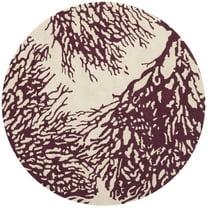 SAFAVIEH Bella Pascal Floral Wool Area Rug, Beige/Purple, 5' x 5' Round