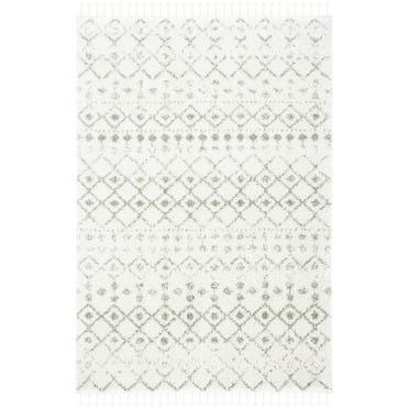 SAFAVIEH Berber Fringe Shag Vinal Aztec Area Rug, Ivory/Sage, 4' x 6'