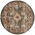 thumbnail image 1 of SAFAVIEH Bijar Rhona Oriental Area Rug, Brown/Rust, 8' x 8' Round, 1 of 8