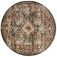 thumbnail image 1 of SAFAVIEH Bijar Rhona Oriental Area Rug, Brown/Rust, 11' x 11' Round, 1 of 10