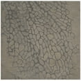 thumbnail image 1 of SAFAVIEH Blossom Clarence Abstract Wool Area Rug, Grey, 6' x 6' Square, 1 of 10