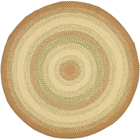 SAFAVIEH Braided Cirino Colorful Bordered Area Rug, Rust/Multi, 6' x 6' Round