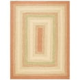 thumbnail image 1 of SAFAVIEH Braided Cirino Colorful Bordered Area Rug, Rust/Multi, 6' x 9' Oval, 1 of 7