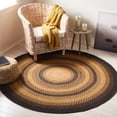 thumbnail image 1 of SAFAVIEH Braided Claes Bordered Reversible Area Rug, Gold/Sage, 4' x 4' Round, 1 of 12