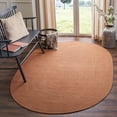 thumbnail image 1 of SAFAVIEH Braided Ilbert Solid Cotton Reversible Area Rug, Multi, 8' x 10' Oval, 1 of 8