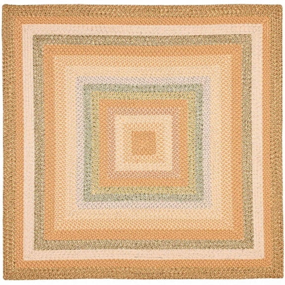 SAFAVIEH Braided Marco Stripe Bordered Area Rug, Tan/Multi, 8' x 10' Oval
