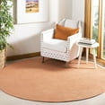 thumbnail image 1 of SAFAVIEH Braided May Solid Cotton Reversible Area Rug, Multi, 6' x 6' Round, 1 of 10