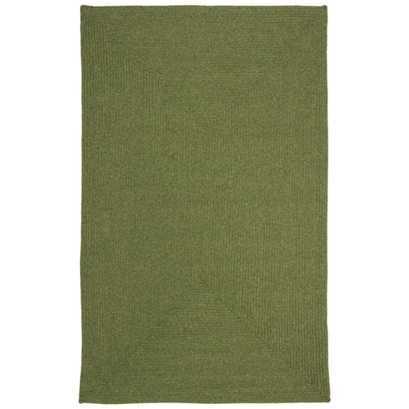 SAFAVIEH Braided Rishika Solid Area Rug, Green, 3' x 5' Oval