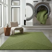 SAFAVIEH Braided Rishika Solid Area Rug, Green, 2' x 3'