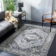 thumbnail image 1 of SAFAVIEH Brentwood Dimas Oriental Area Rug, Gray/Black, 3' x 5', 1 of 12