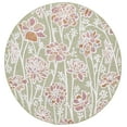 thumbnail image 1 of SAFAVIEH Cabana Iskra Indoor/Outdoor Area Rug, Green/Pink, 7' x 7' Round, 1 of 12