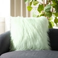 thumbnail image 1 of SAFAVIEH Caelie Faux Fur 20" x 20" Shag Plush Pillow, Mint, 1 of 4