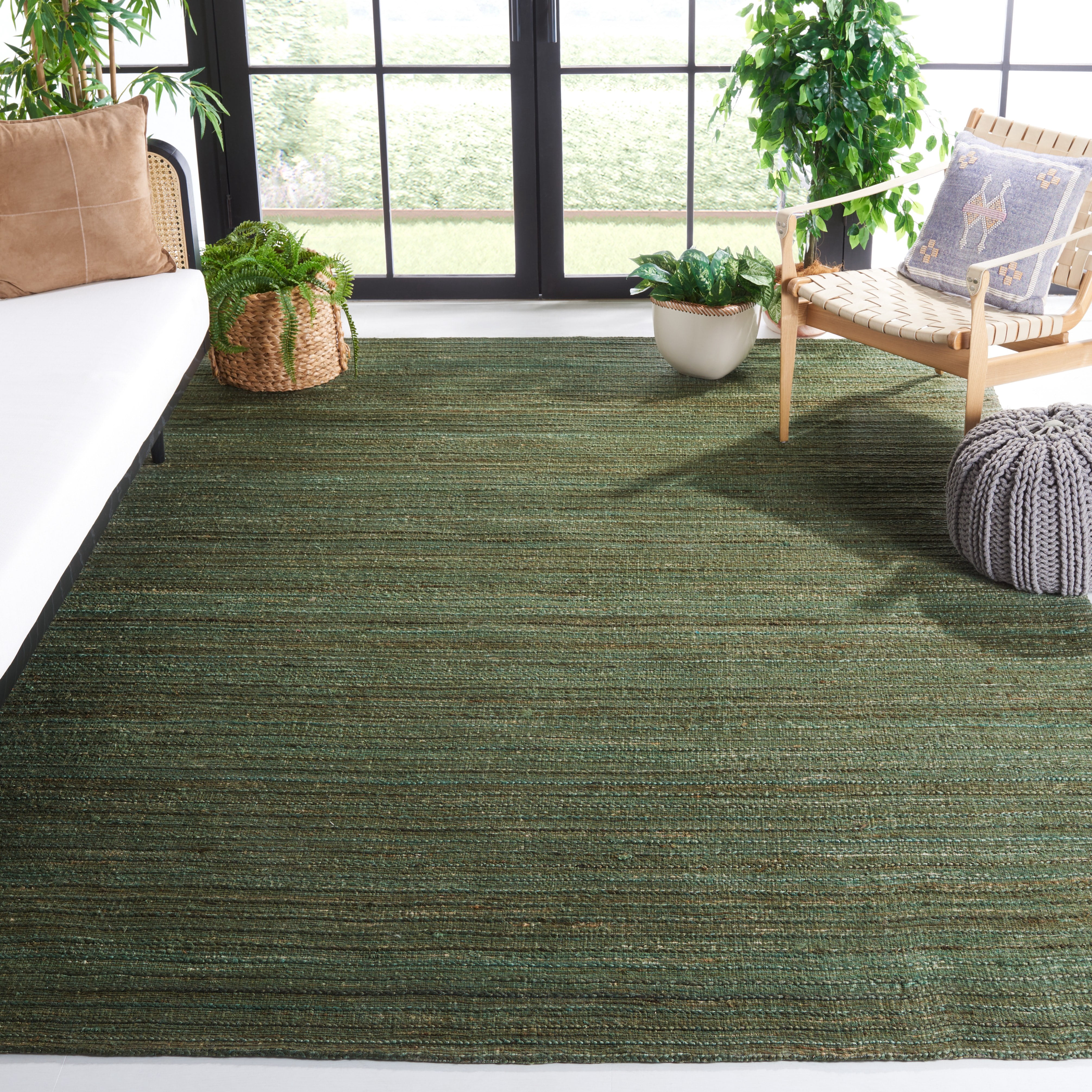 SAFAVIEH Cape Cod Eustacia Southwestern Area Rug, Sage/Natural, 10' x 14'