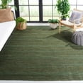 thumbnail image 1 of SAFAVIEH Cape Cod Eustacia Southwestern Area Rug, Sage/Natural, 9' x 12', 1 of 13