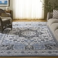 thumbnail image 1 of SAFAVIEH Charleston Hannan Oriental Area Rug, Blue/Gray, 9' x 12', 1 of 11