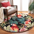 thumbnail image 1 of Safavieh Chelsea Dewayne Bordered Wool Area Rug, Black, 3' x 3' Round, 1 of 12