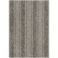 thumbnail image 1 of SAFAVIEH Courtyard Robert Striped Indoor/Outdoor Area Rug, Light Grey/Black, 2'7" x 5', 1 of 15