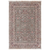 SAFAVIEH Crimson Codie Distressed Area Rug, Beige/Brown, 5' x 7'