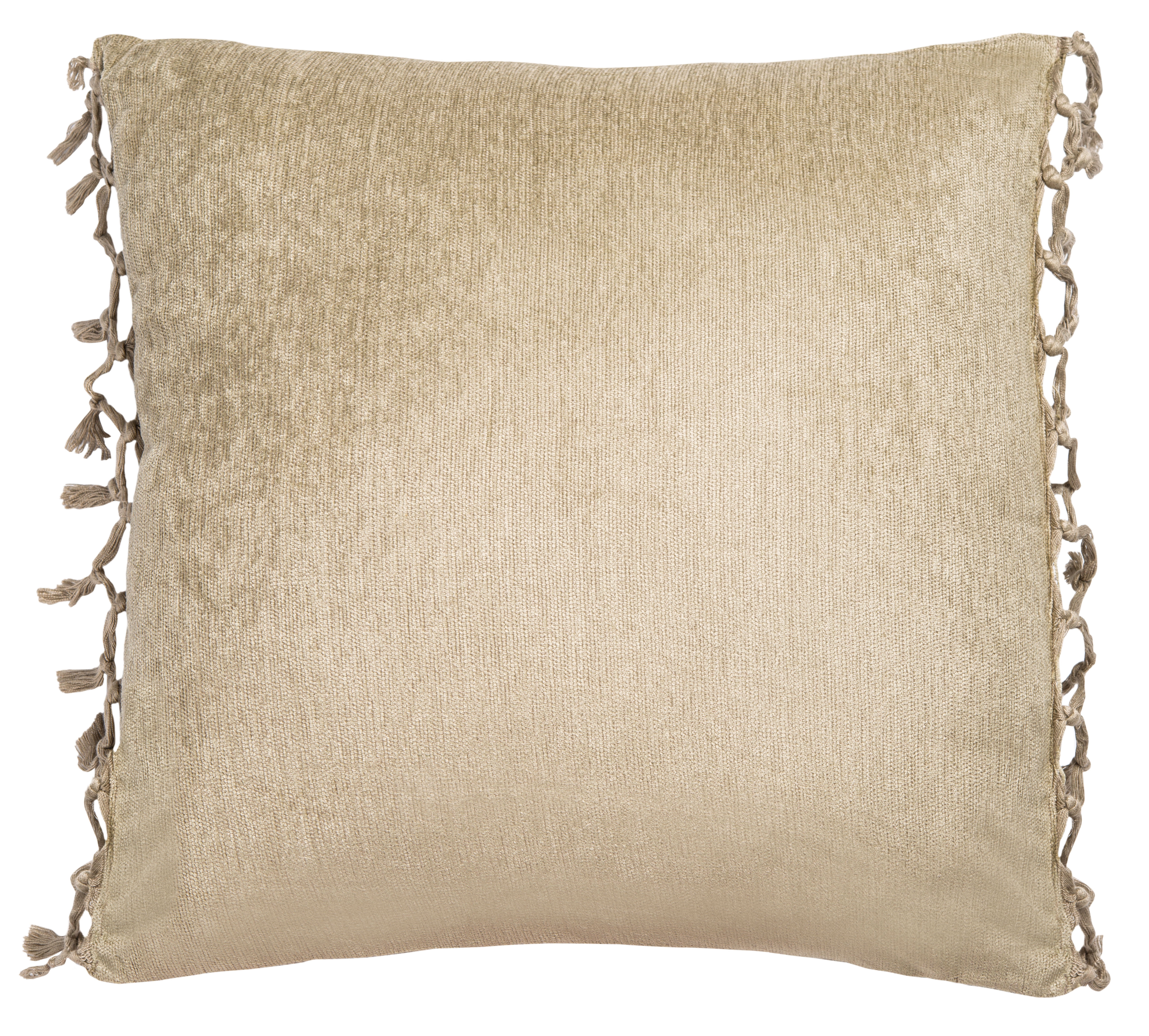 Dandria Light Green Cotton Chenille Square Pillow with Fringe Tassels