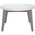 thumbnail image 1 of SAFAVIEH Echo Classic Round Tray Top Lacquer End Table, White/Grey, 1 of 9