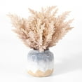 thumbnail image 1 of SAFAVIEH Faux 14 Inch Potted Broom Corn Plant, Beige, 1 of 6