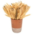 thumbnail image 1 of SAFAVIEH Faux 14 Inch Wheat Eat Potted Arrangement, Multi, 1 of 5