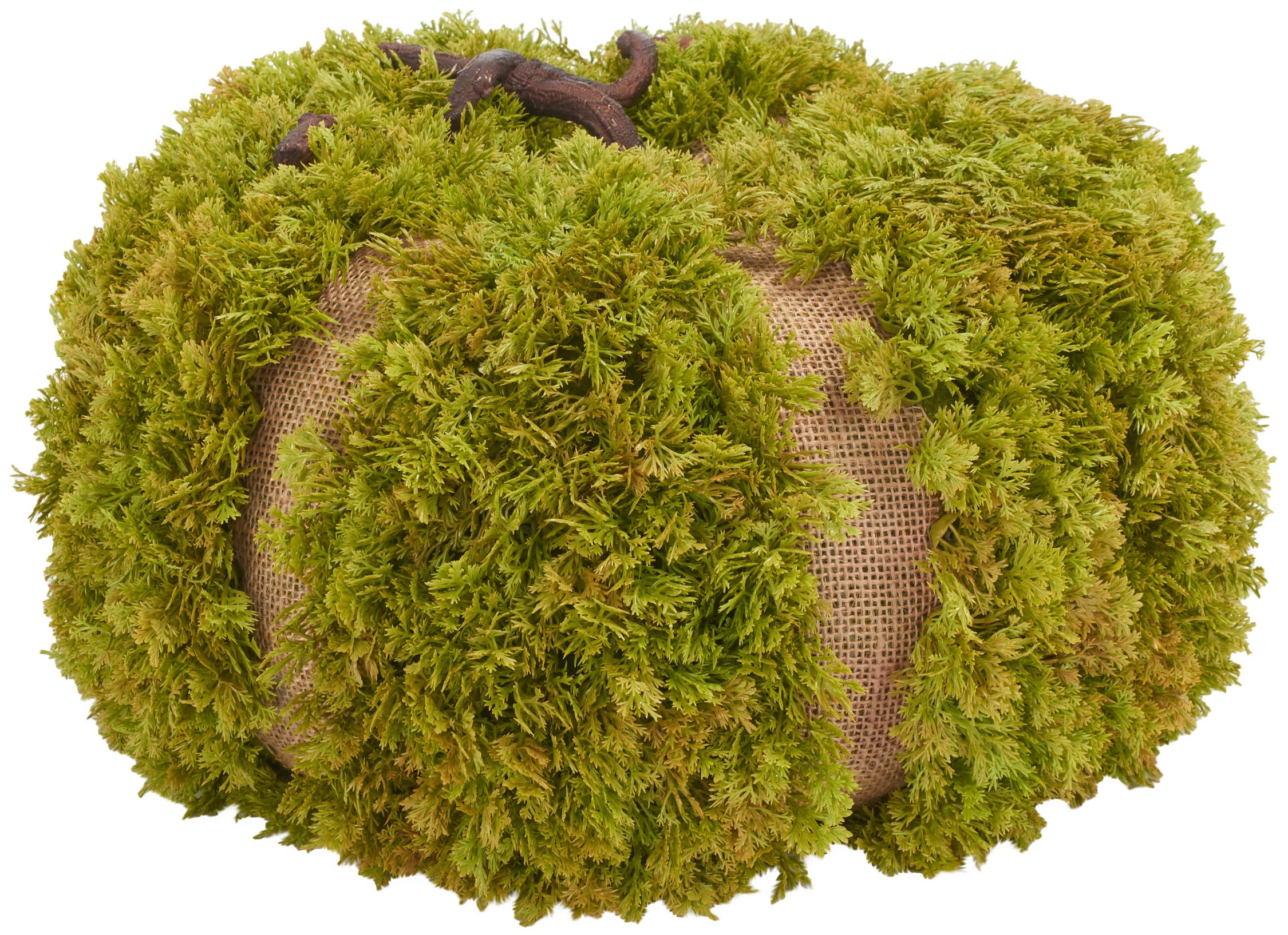 SAFAVIEH Faux 15 Inch Moss Pumpkin, Green