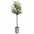 thumbnail image 1 of SAFAVIEH Faux 36 Inch Olive Potted Tree, White/Grey, 1 of 5